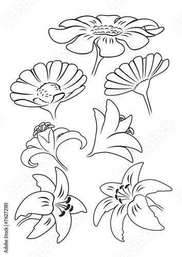 Fototapeta Naklejka Na Ścianę i Meble -  flower