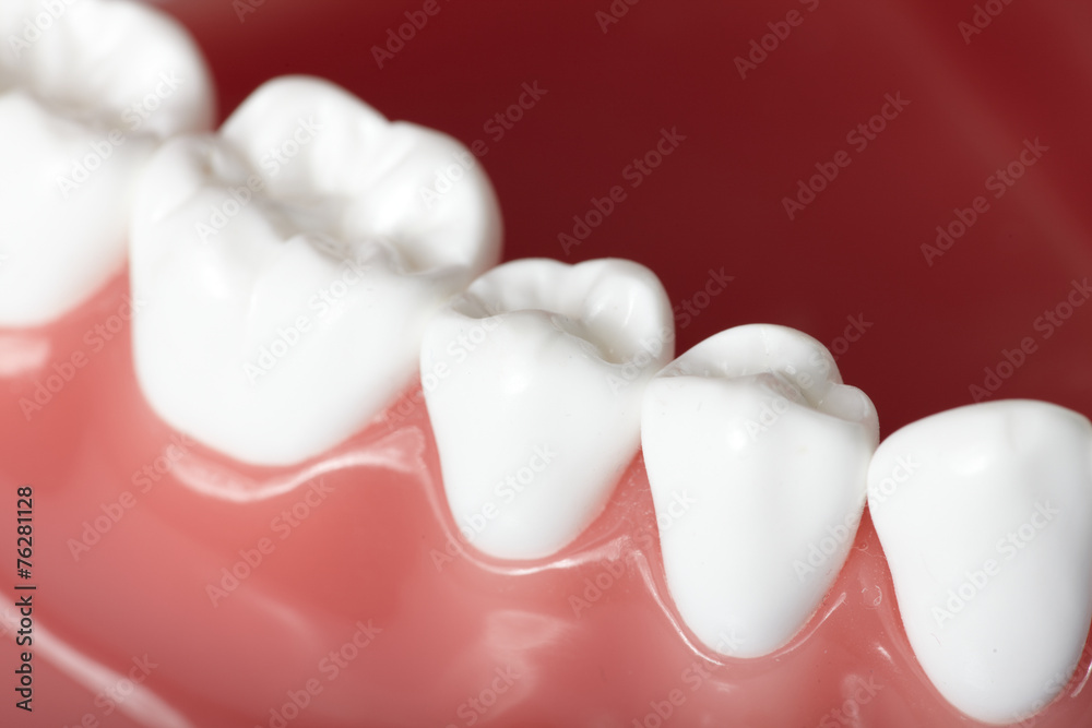 White teeth. White teeth.