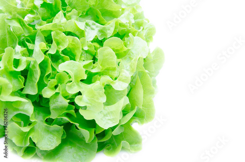 Close up fresh green organic vegetable