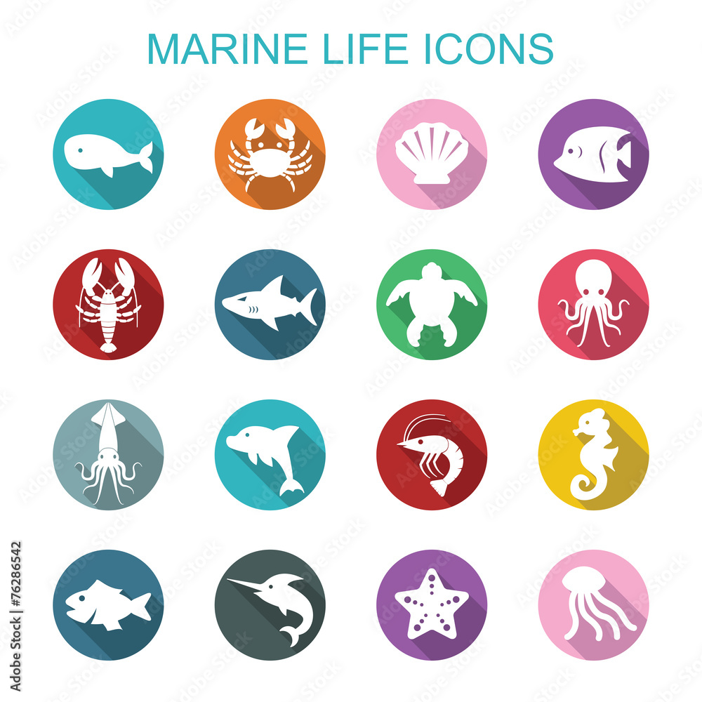 marine life long shadow icons