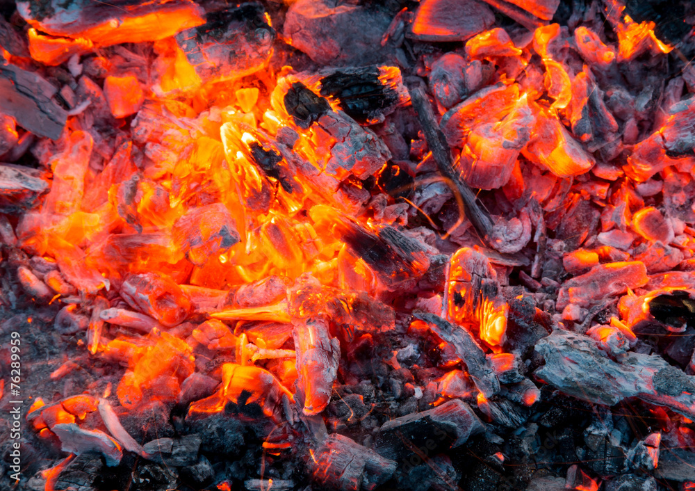 Campfire with burning firewood on foreground closeup Campfire with burning firewood on foreground closeup