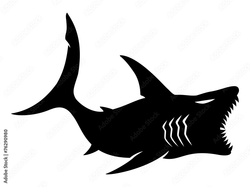 Fototapeta premium Vector sign. Shark.