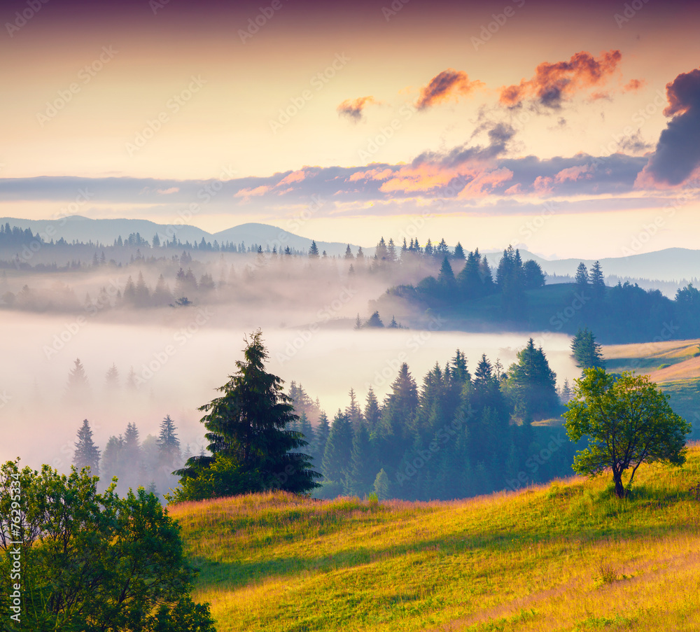 Fototapeta premium Foggy summer sunrise in the mountains.