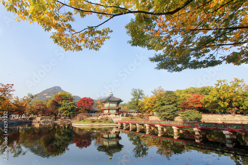Photography Gyeongbokgung Palace royal garden, Seoul, Korea