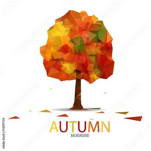 Autumn tree