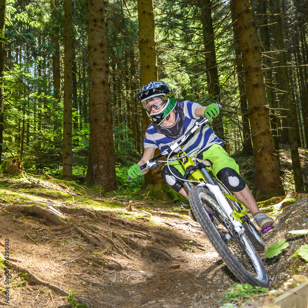 Fototapeta premium rasant im Wald unterwegs