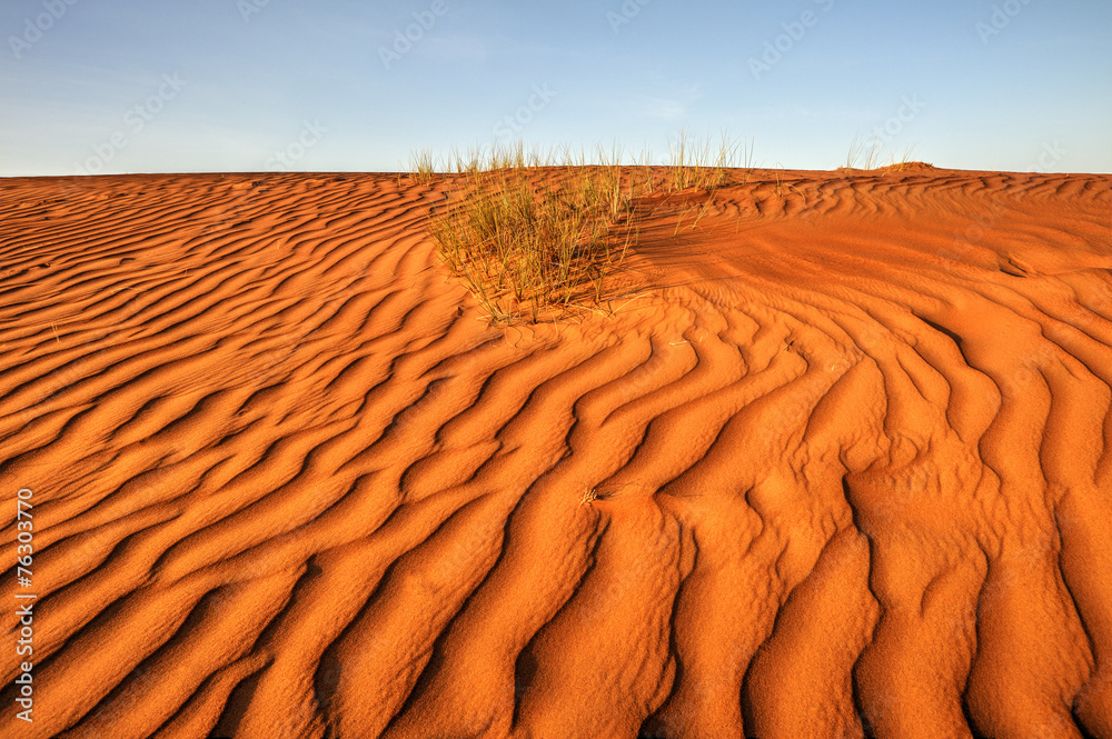 Desert landscape, Wahiba Sands, Oman - obrazy, fototapety, plakaty 