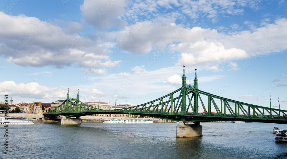 Naklejka premium Szabadság hid - Liberty bridge in Budapest, Hungary