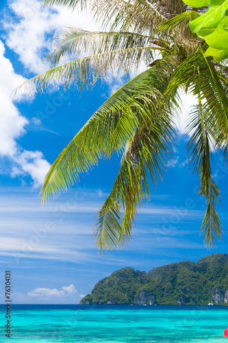 Fototapeta Naklejka Na Ścianę i Meble -  Green View Coconut Getaway