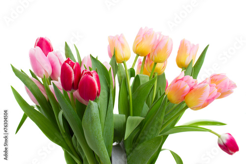 Fototapeta Naklejka Na Ścianę i Meble -  bouquet of    tulip flowers in vase