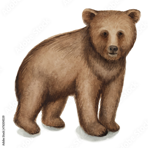 Brown bear