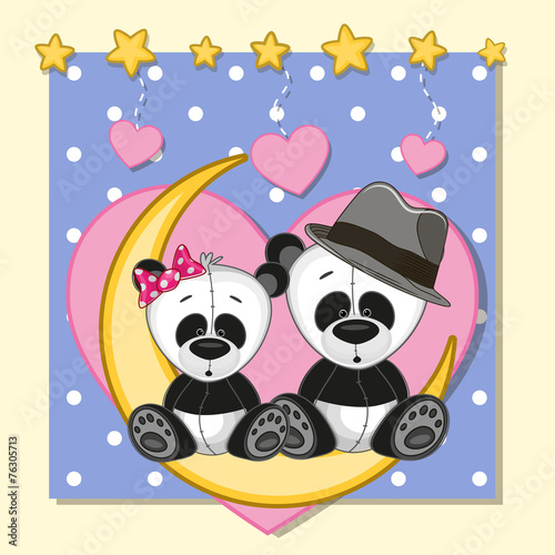 Fototapeta Naklejka Na Ścianę i Meble -  Lovers Pandas