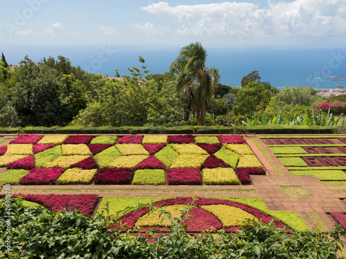 Jardim Botanico da Madeira / Botanischer Garten photo