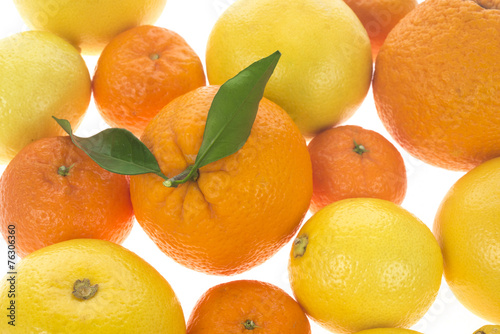 Citrus fresh fruit background
