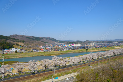 Cherry blossoms along Shiroishi river (Shiroishigawa tsutsumi Se photo