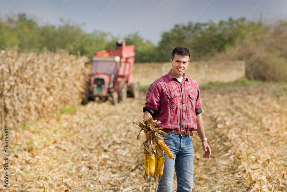 Naklejka premium Man on corn field