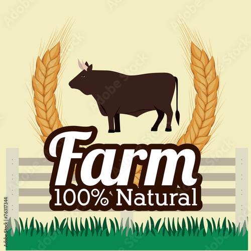 Farm design, vector illustration.