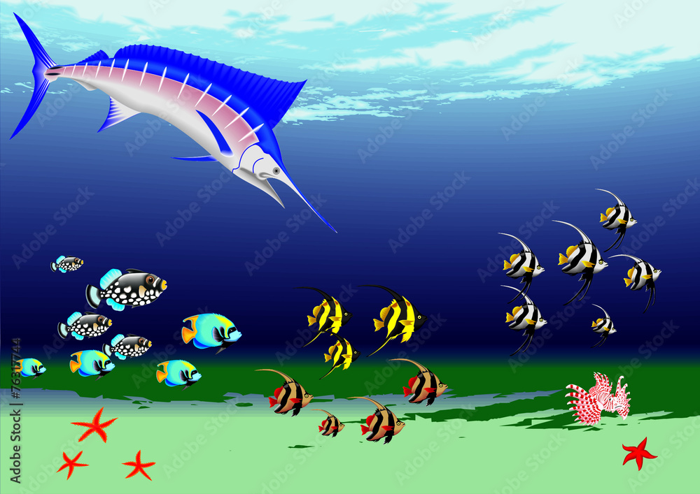 Obraz premium underwater with fishs