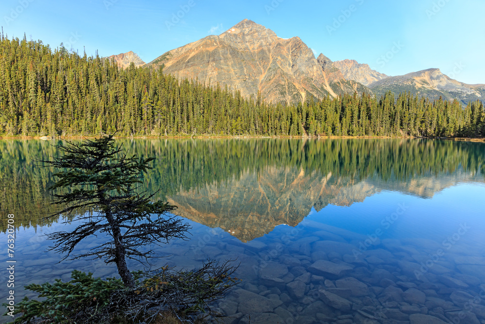 Fototapeta premium Edith Cavell Lake, Alberta