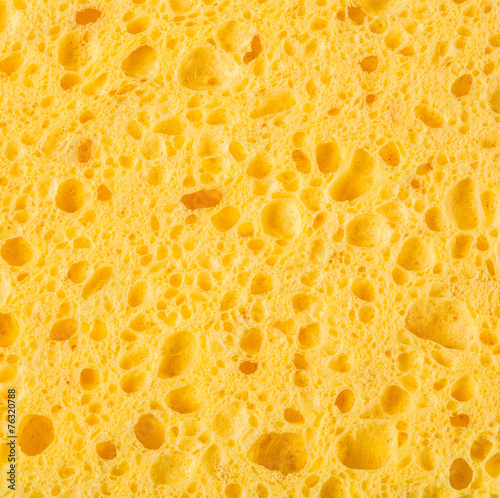 Texture of organic yellow sponge