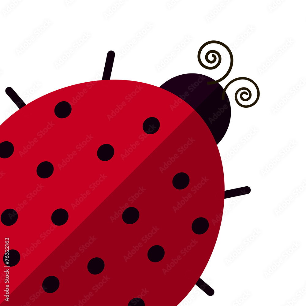 Ladybird isolated vector flat illustration Ladybird isolated vector flat illustration