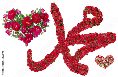 Muhammad sign