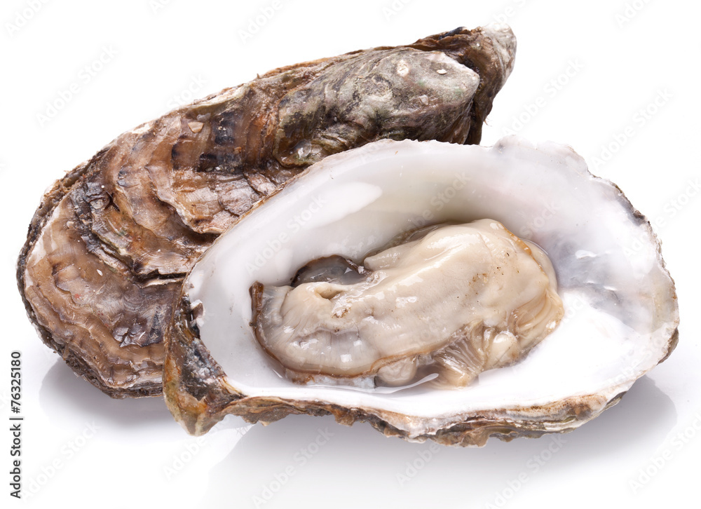Raw oyster on a whte background. Raw oyster on a whte background.