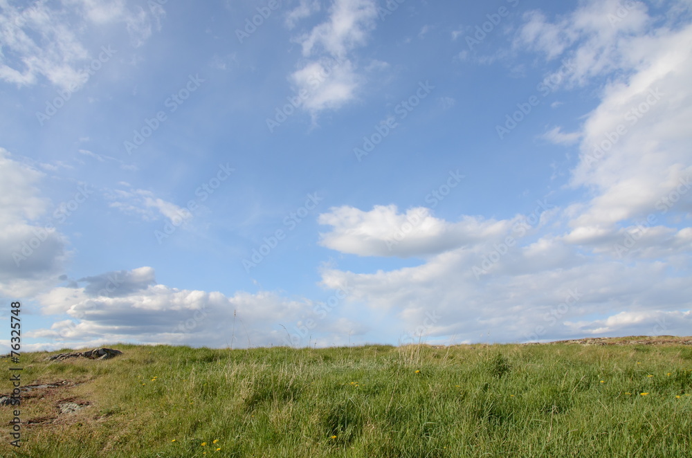 Landscape in spring