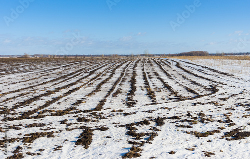 Ukrainian agricultural landscape at winter season