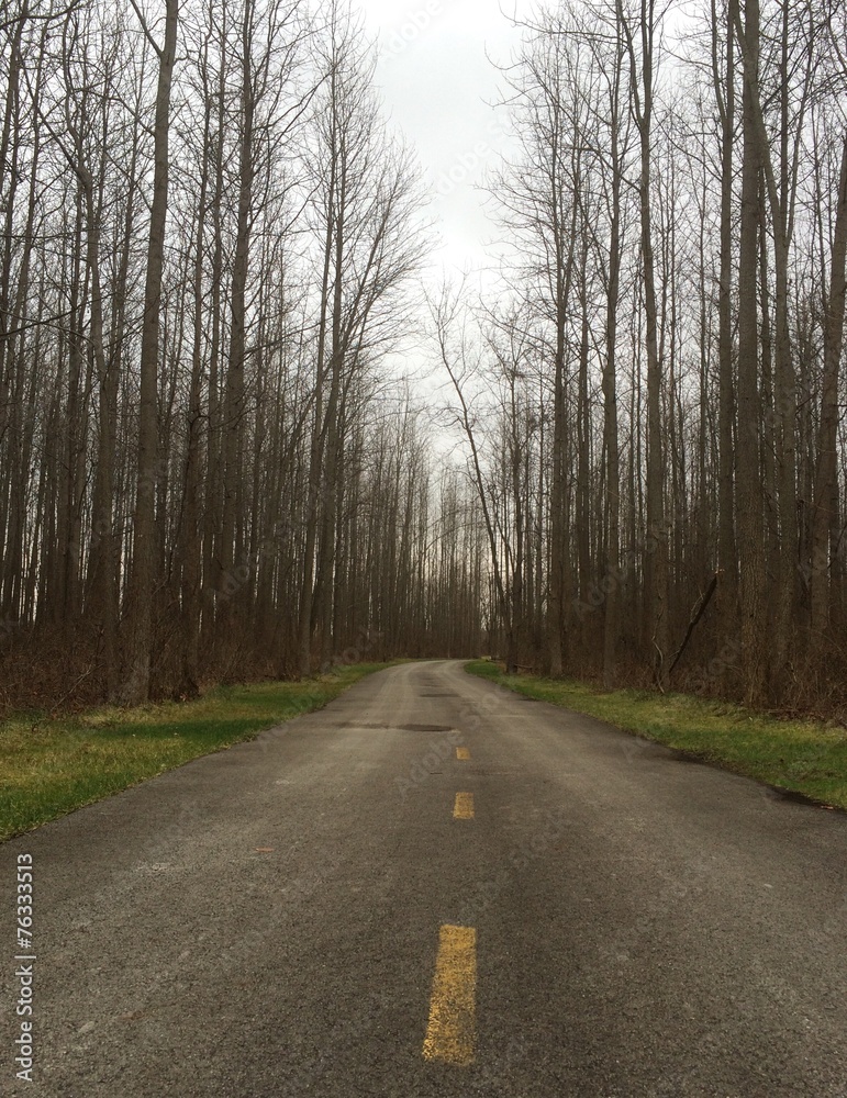 Fototapeta premium Winter Walk