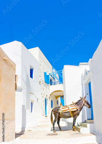 mule sitting in the street in Langada in Amorgos island Greece