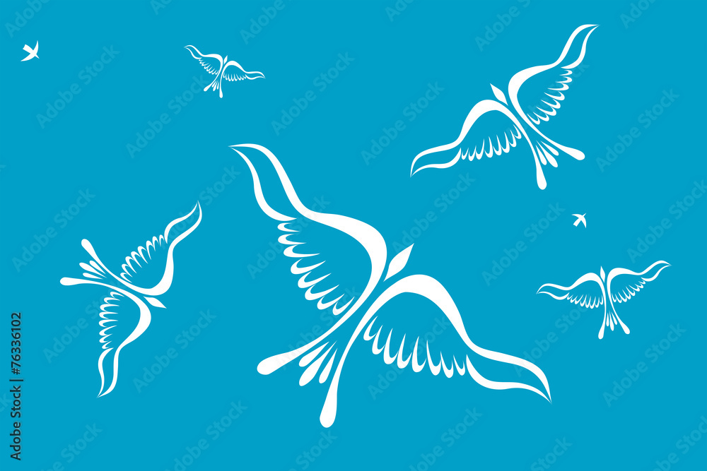 Fototapeta premium Birds in the sky