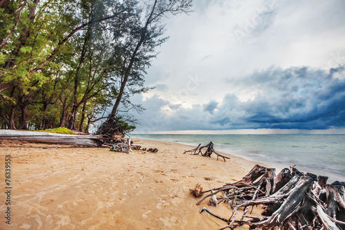 tropical beach under gloomy sky