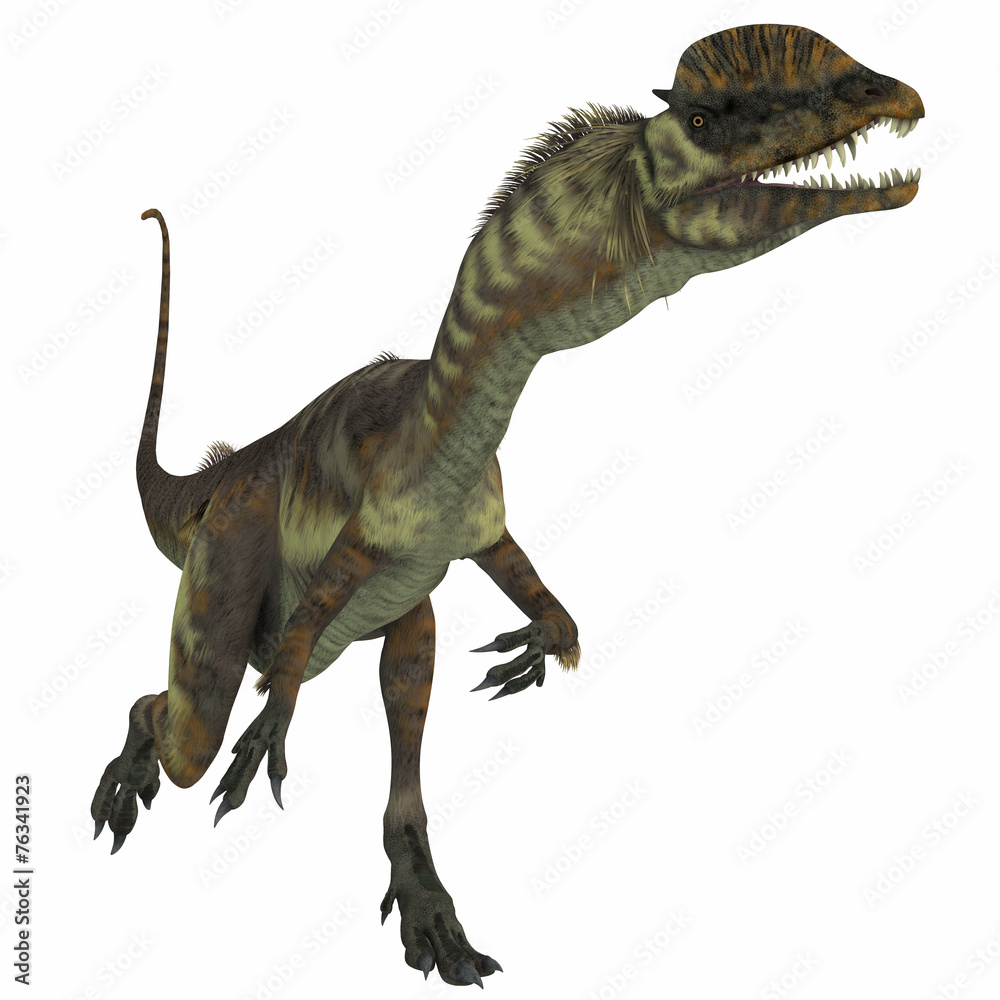 Fototapeta premium Dilophosaurus Dinosaur over White