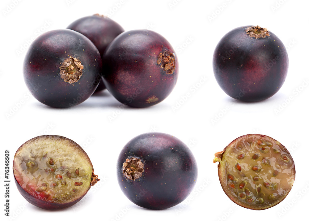 Fototapeta premium Black currant set