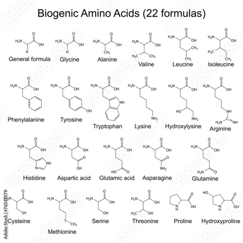 Twenty two biogenic amino acids - chemical formulas