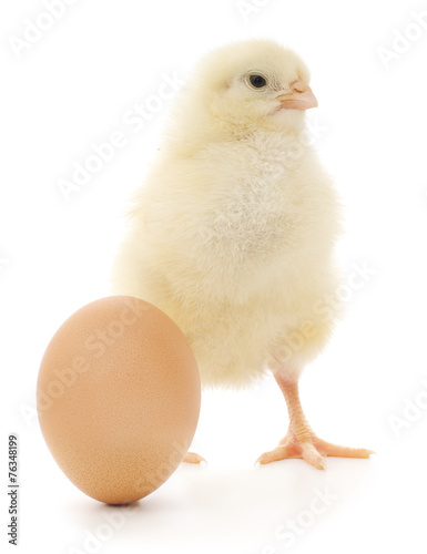 chicken and egg