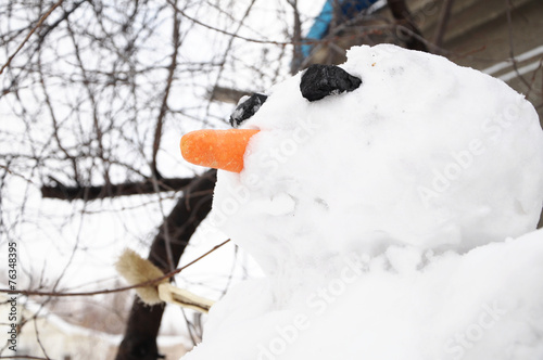 Snowman portrait