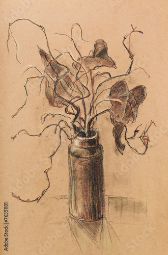 Branches in vase photo