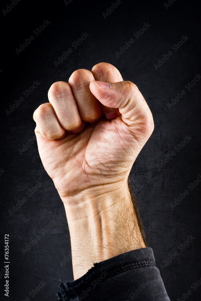 Riot protest fist Riot protest fist