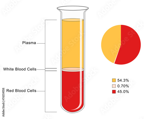 Blood Composition