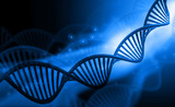 DNA molecules on blue background .