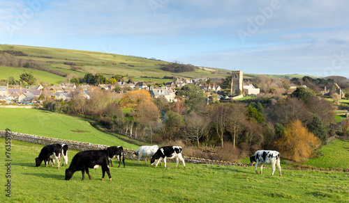 Abbotsbury Dorset England UK English countryside photo