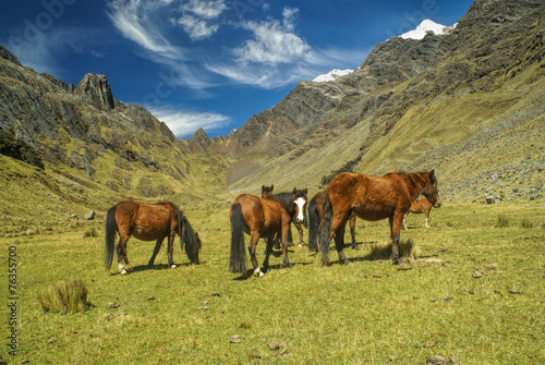 Peruvian Andes © michalknitl