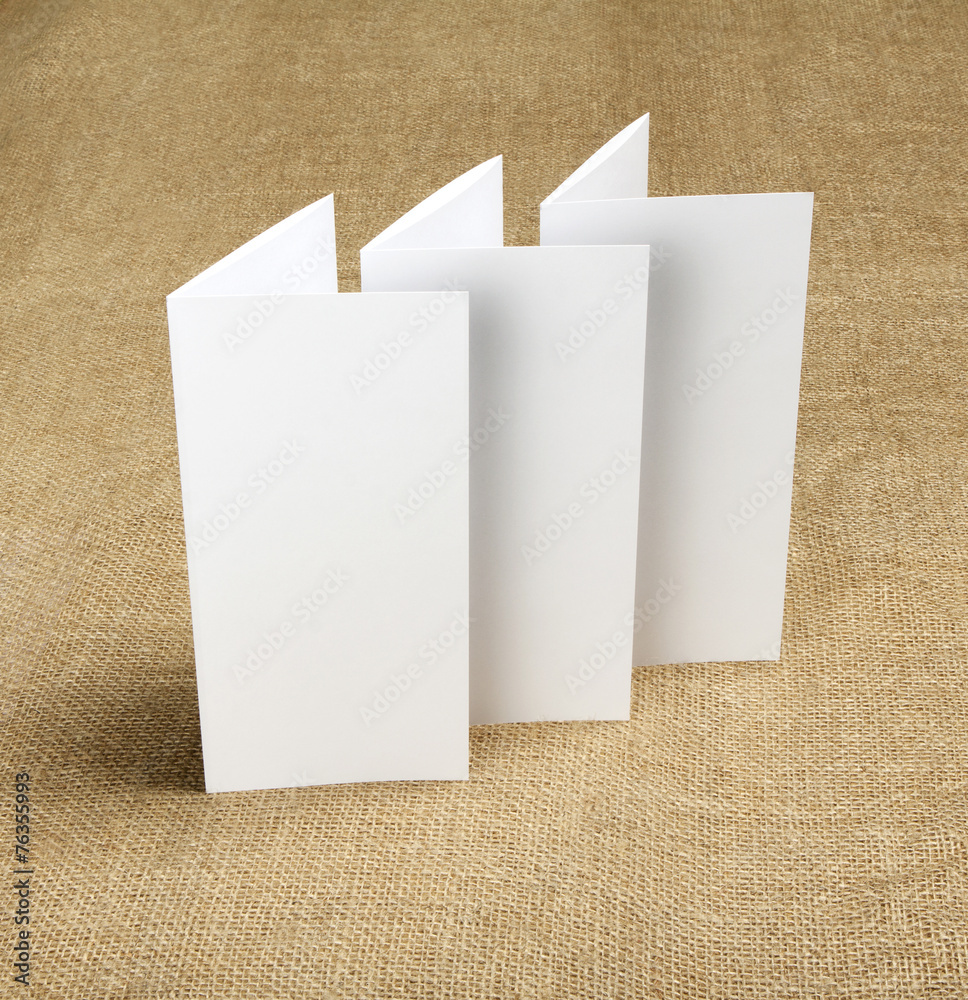 Fototapeta premium blank white folding paper flyer