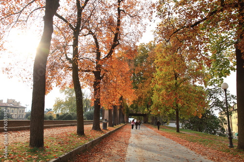 Foto Toscana,Lucca,passeggiata sulle Mura.
