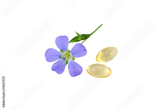 Flax Flower and capsules