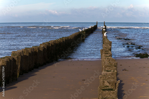 Buhnen, niederländische Nordseeküste, Zeeland photo