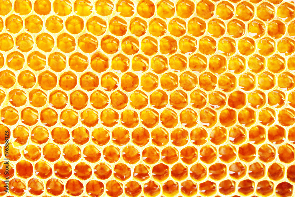Honeycomb background Honeycomb background