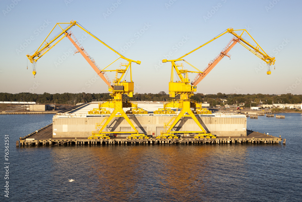 Two Yellow Cranes